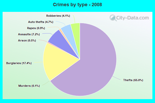 Crimes by type - 2008