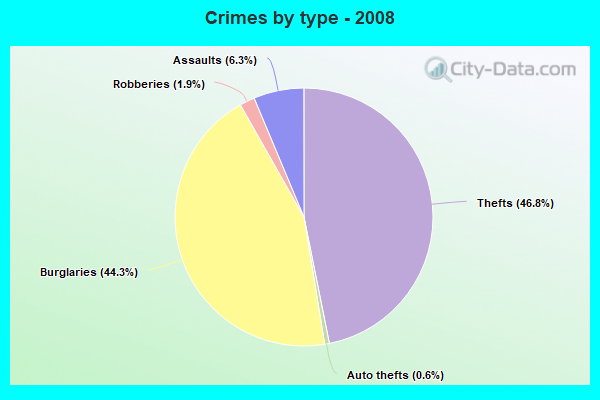 Crimes by type - 2008