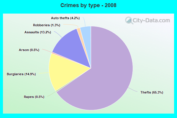 Crimes by type - 2008