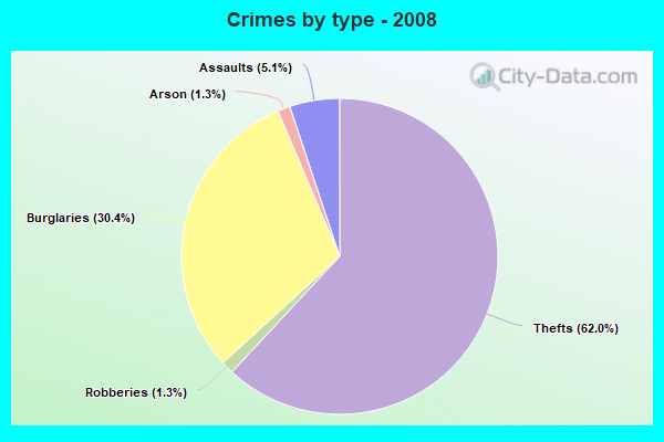 Crimes by type - 2008