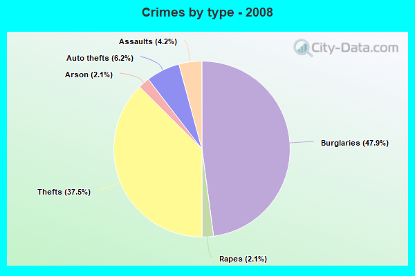 Crimes by type - 2008