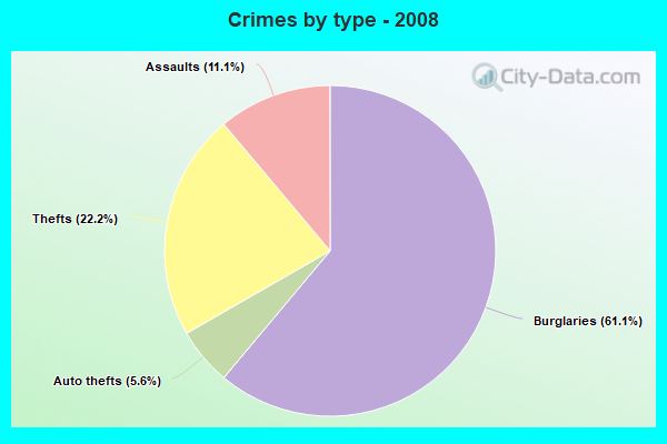 Crimes by type - 2008