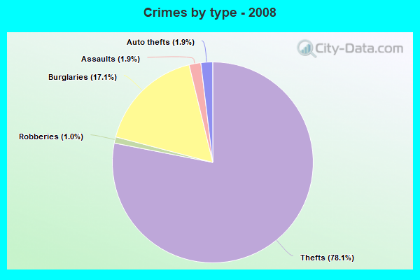 Crimes by type - 2008