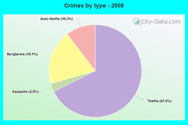 Crimes by type - 2008