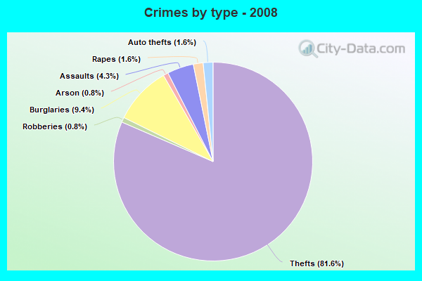 Crimes by type - 2008