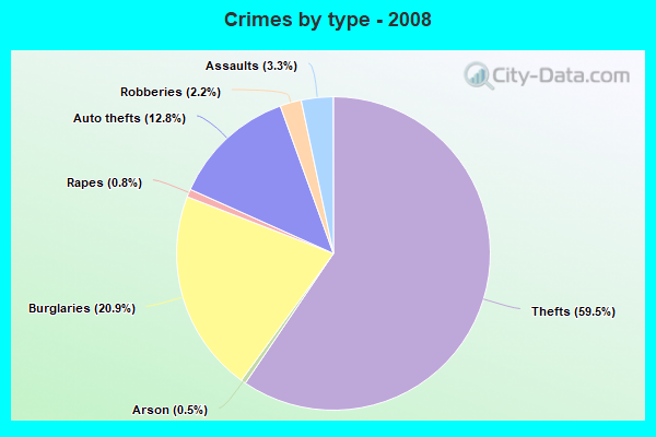 Crimes by type - 2008