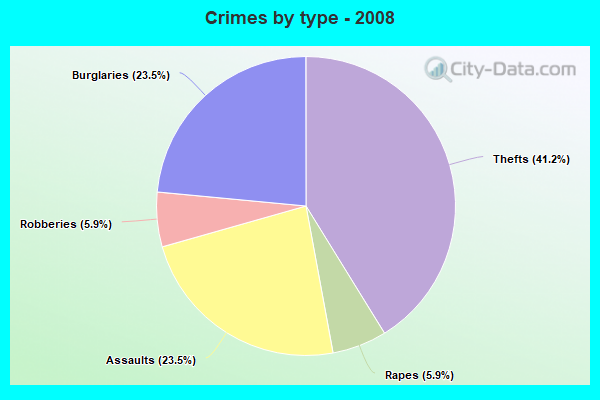 Crimes by type - 2008