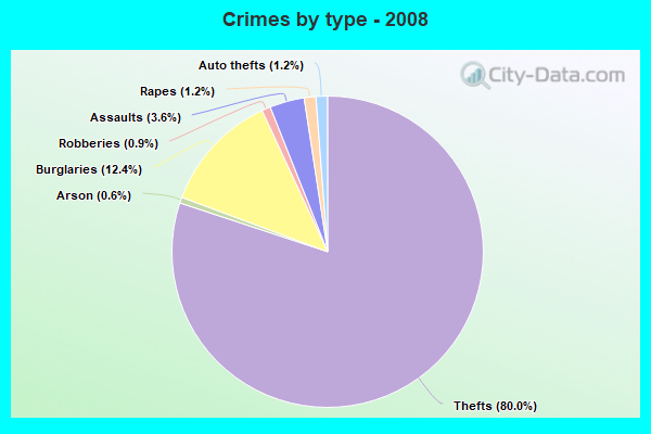 Crimes by type - 2008