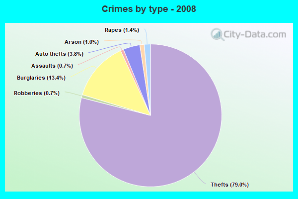 Crimes by type - 2008