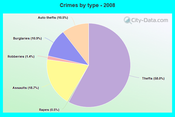 Crimes by type - 2008