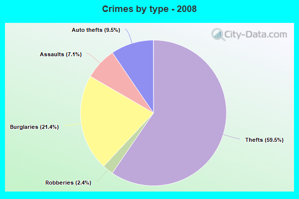 Crimes by type - 2008