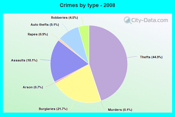 Crimes by type - 2008