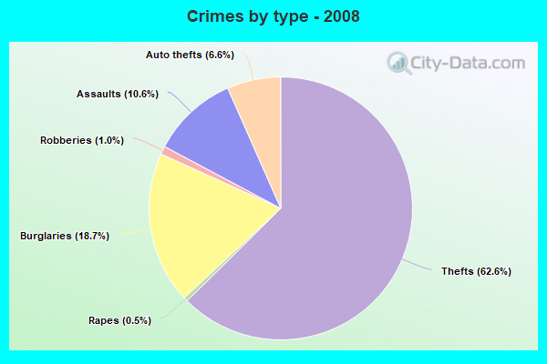 Crimes by type - 2008