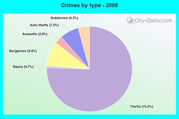 Crimes by type - 2008