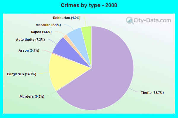 Crimes by type - 2008