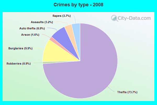 Crimes by type - 2008