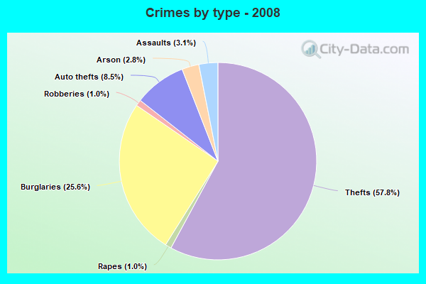 Crimes by type - 2008