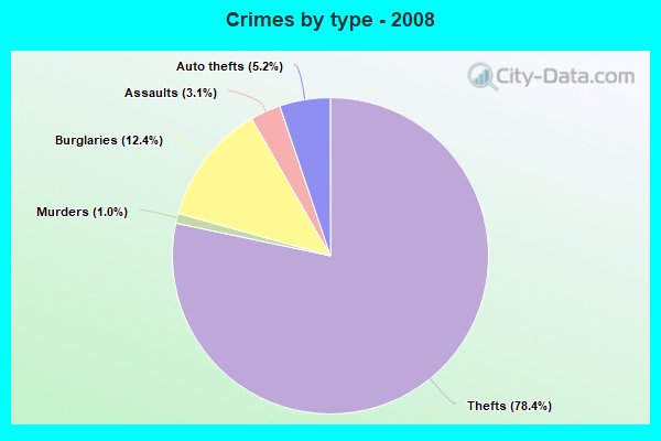 Crimes by type - 2008