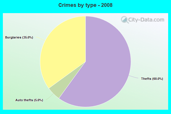 Crimes by type - 2008