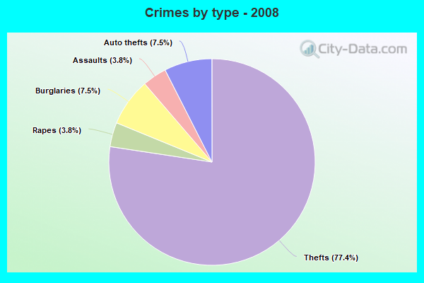 Crimes by type - 2008