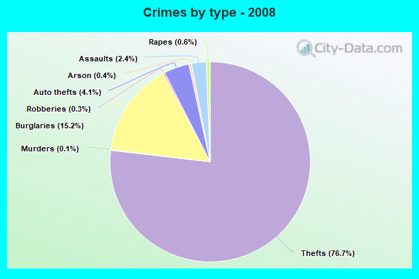 Crimes by type - 2008