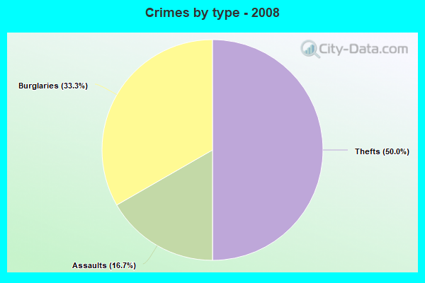 Crimes by type - 2008