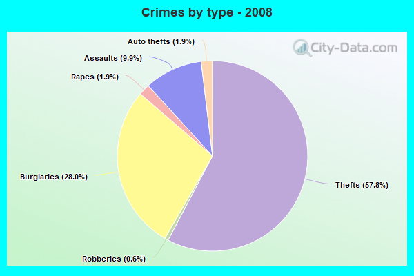 Crimes by type - 2008