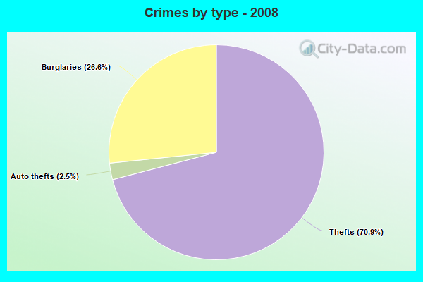 Crimes by type - 2008