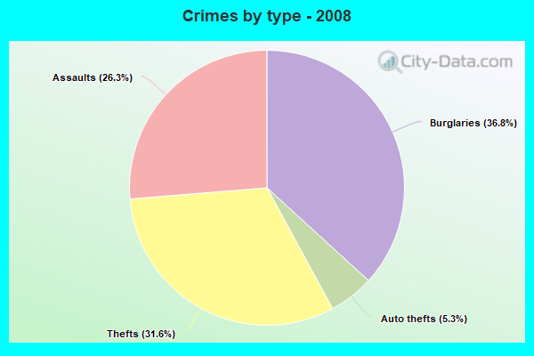 Crimes by type - 2008