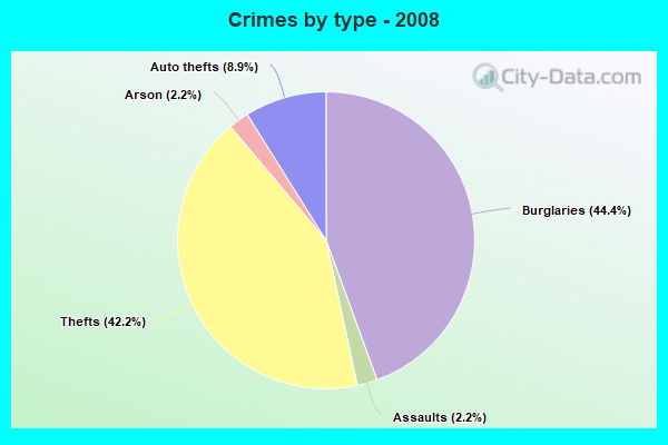 Crimes by type - 2008