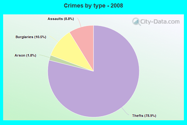 Crimes by type - 2008