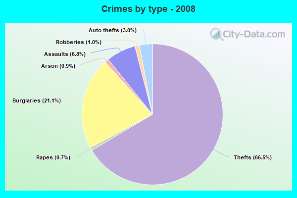 Crimes by type - 2008