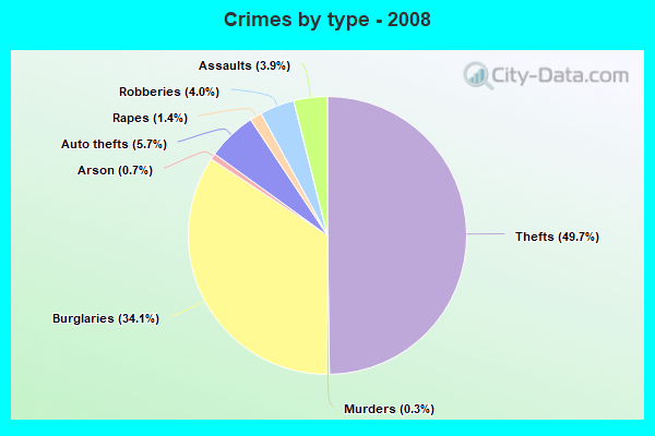 Crimes by type - 2008