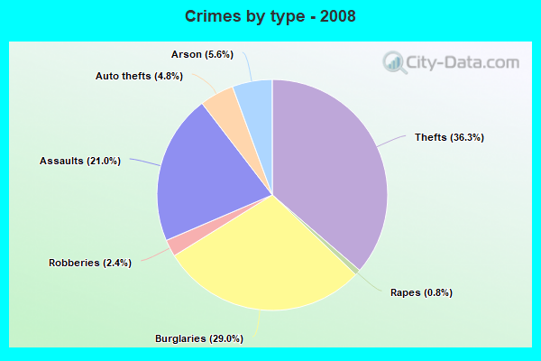 Crimes by type - 2008