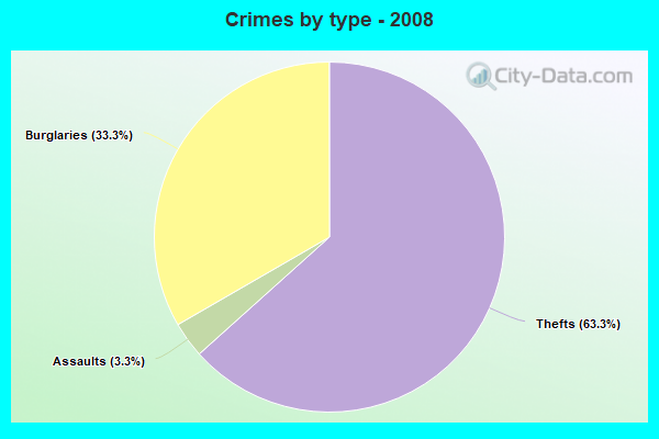 Crimes by type - 2008