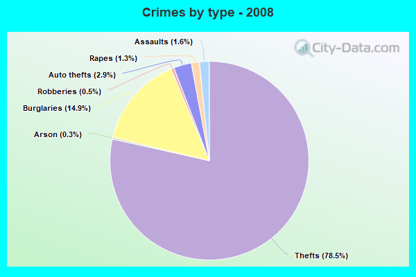 Crimes by type - 2008