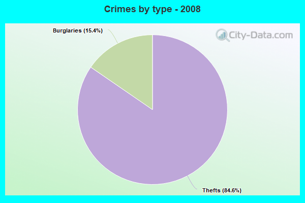 Crimes by type - 2008