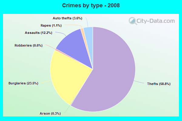 Crimes by type - 2008