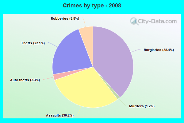 Crimes by type - 2008