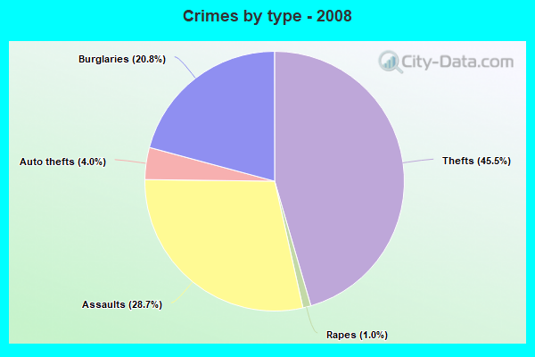 Crimes by type - 2008