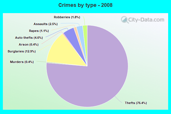 Crimes by type - 2008