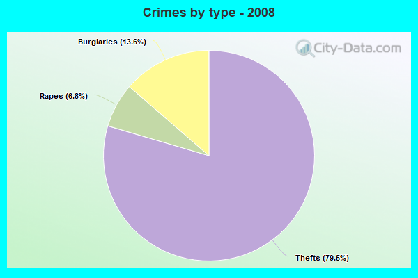 Crimes by type - 2008