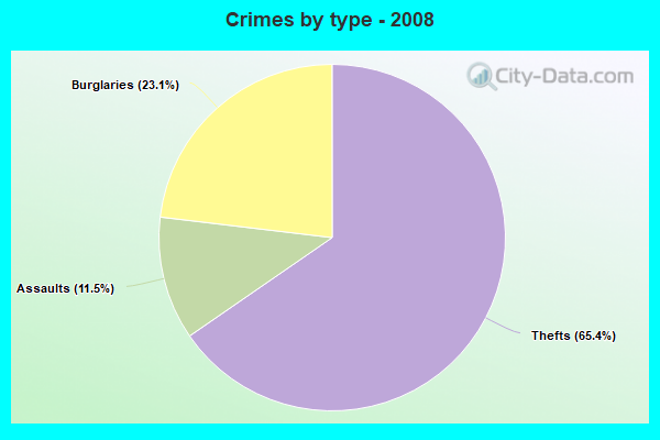 Crimes by type - 2008