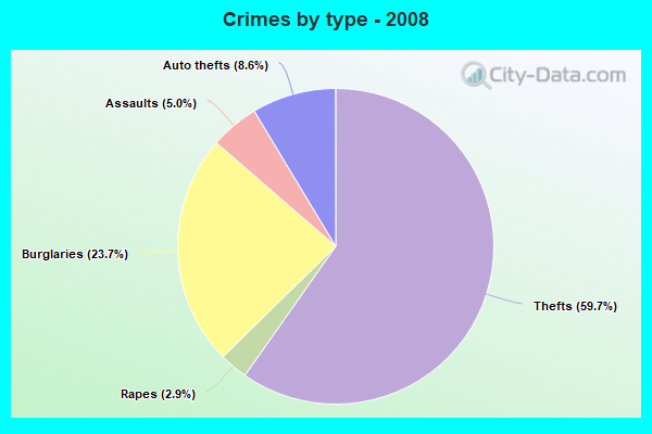 Crimes by type - 2008