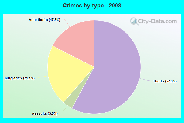 Crimes by type - 2008