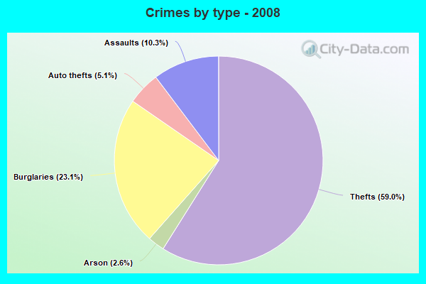 Crimes by type - 2008