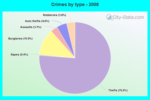 Crimes by type - 2008