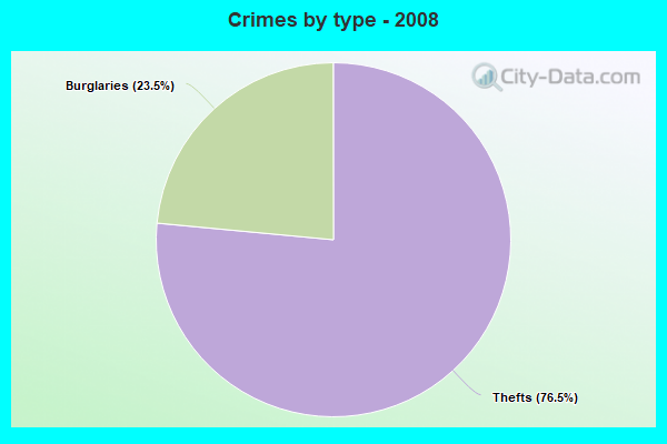 Crimes by type - 2008