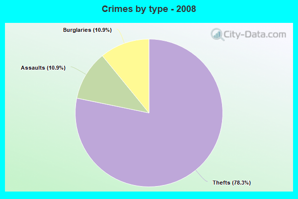 Crimes by type - 2008