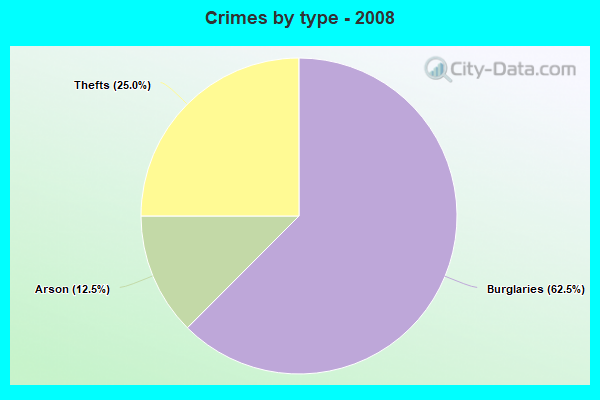 Crimes by type - 2008